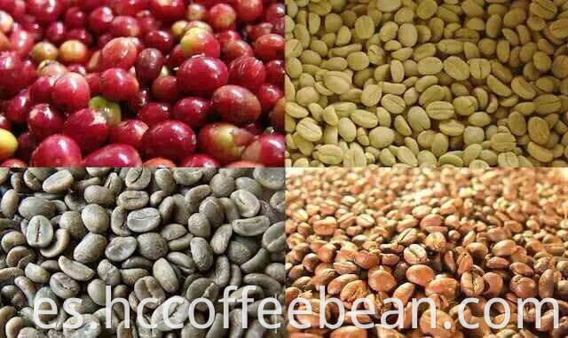 Granos de café de Colombia, granos de café arábica, granos de café verde, fábrica de café